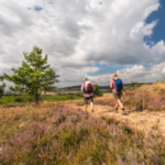 Weinregion Rheinhessen