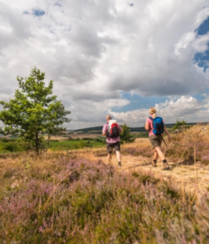 Weinregion Rheinhessen